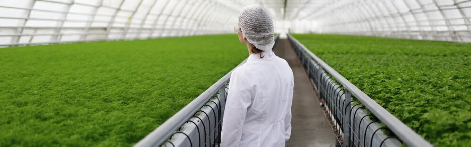 东升国际官网-相信品牌力量